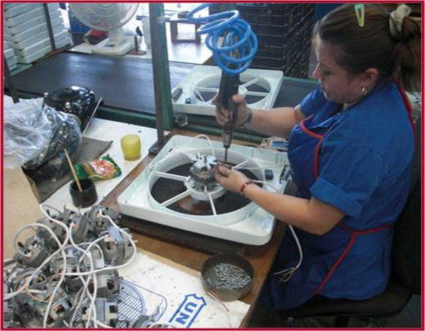 Trabajadores INELEC 3